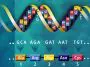 DNA translation illustration, photo credit: US Dept. of Energy