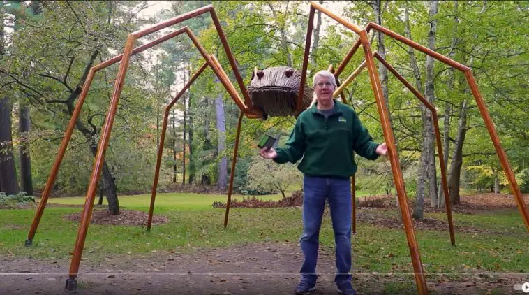 Bizarre Spiders video still