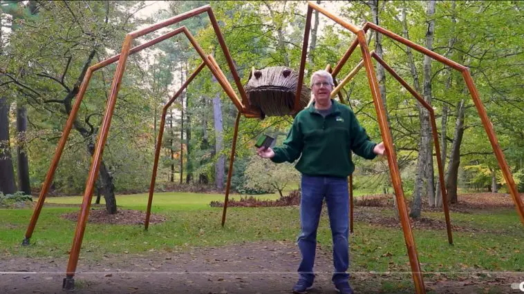 Bizarre Spiders video still