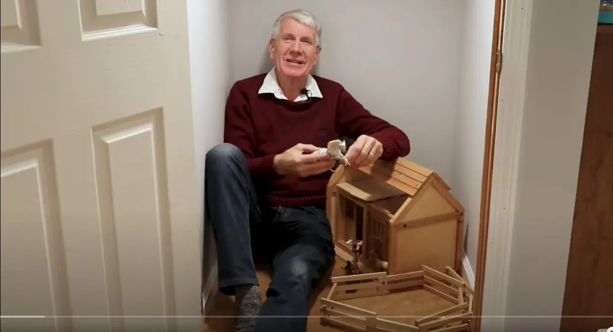 Horse Evolution video still