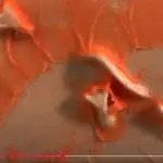 Make a Big Impression video still