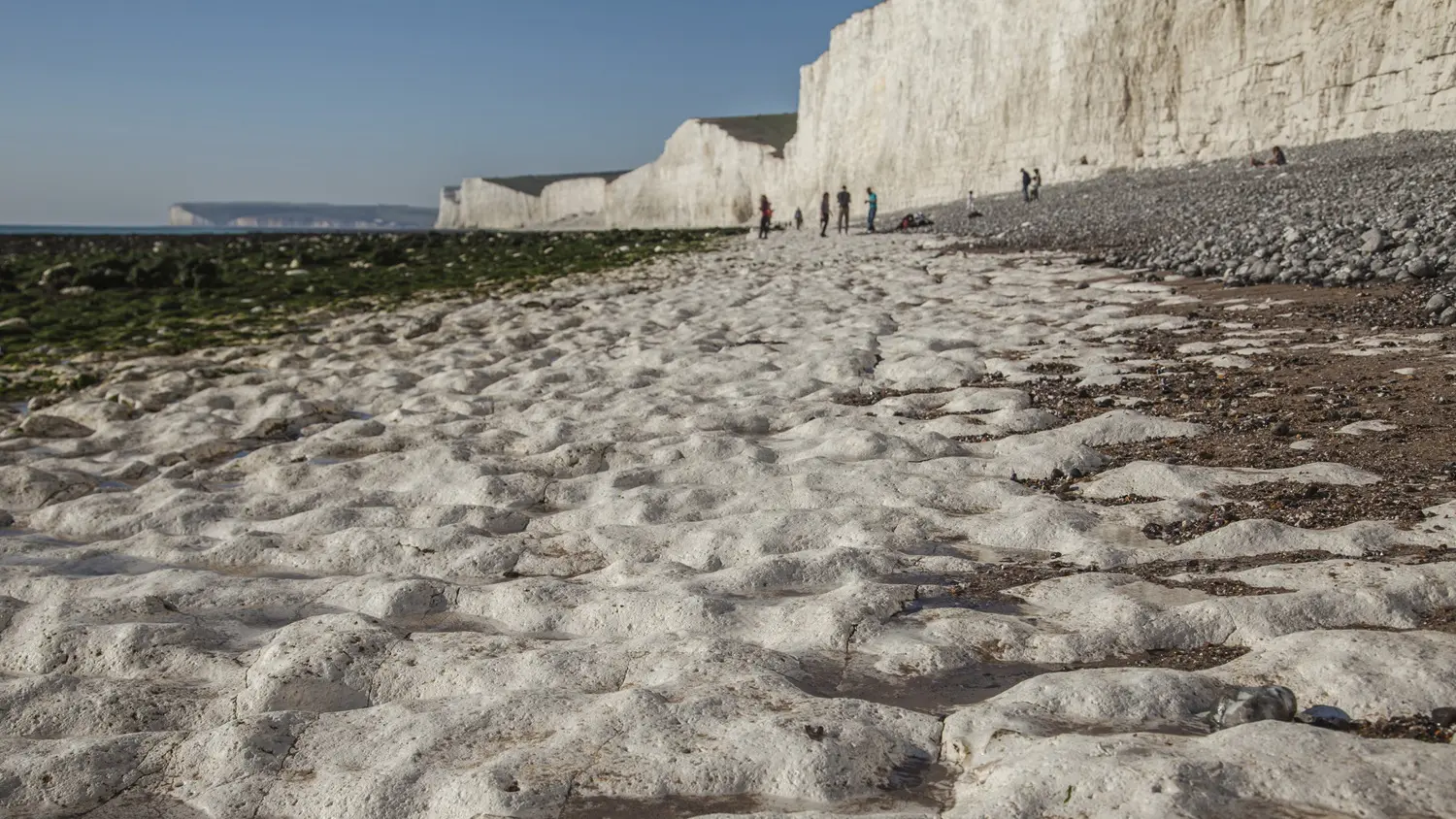Seven Sisters and Beachy Head cliffs, England viewed from the chalky beach: ID 130814316 © Barbara Pisiolek | Dreamstime.com