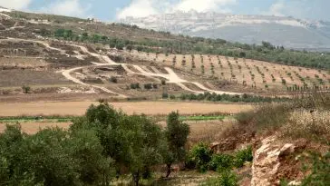 National park Zippori (Tsipori), Israel, Lower Galilee: ID 41357257 © Grafnata | Dreamstime.com