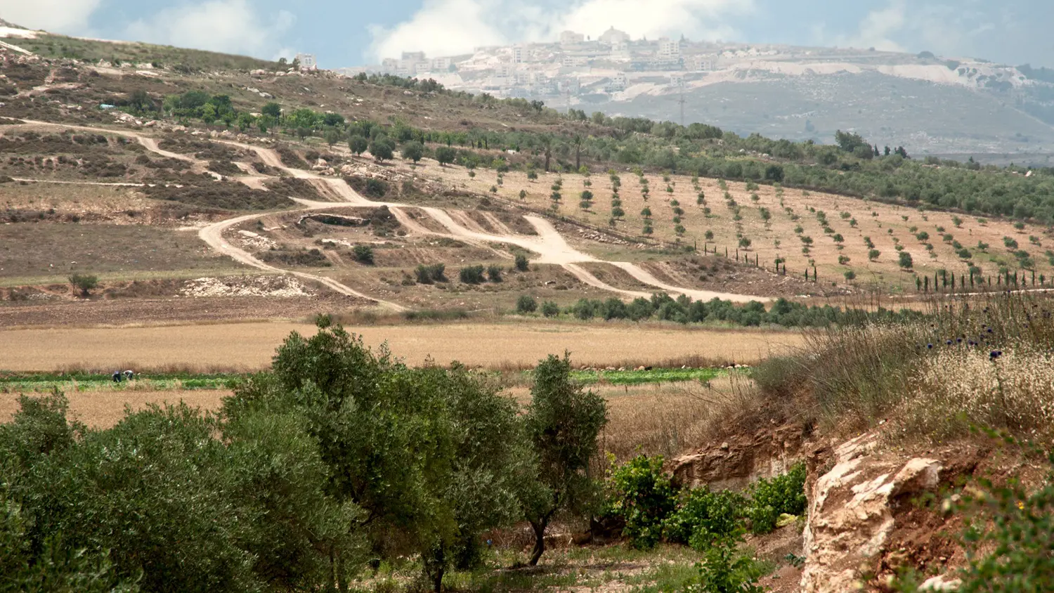 National park Zippori (Tsipori), Israel, Lower Galilee: ID 41357257 © Grafnata | Dreamstime.com