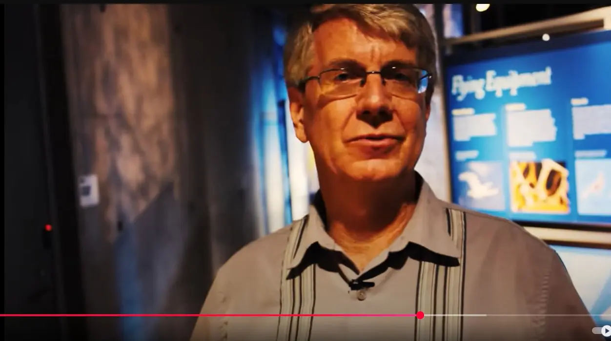 Birds from Dinosaurs video still