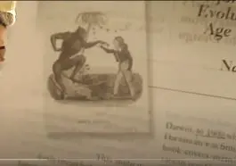 Jane Goodall and Evolutionary Racism video still