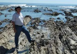 Malmesbury Group rocks exposed at Sea Point, South Africa, photo credit: Tas Walker