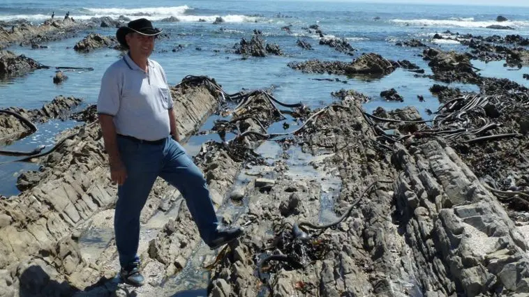 Malmesbury Group rocks exposed at Sea Point, South Africa, photo credit: Tas Walker