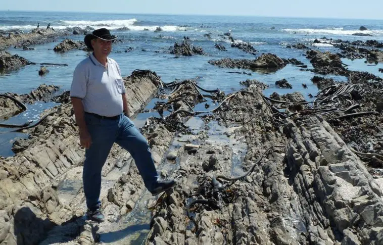 Malmesbury Group rocks exposed at Sea Point, South Africa, photo credit: Tas Walker