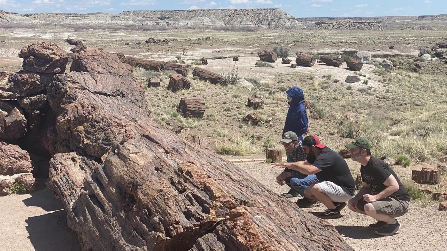 Petrified Forest trunk with people, photo credit: Canyon Ministries
