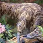 Feathered Velociraptor Dinosaur replica: ID 363323554 © Anpo9075 | Dreamstime.com