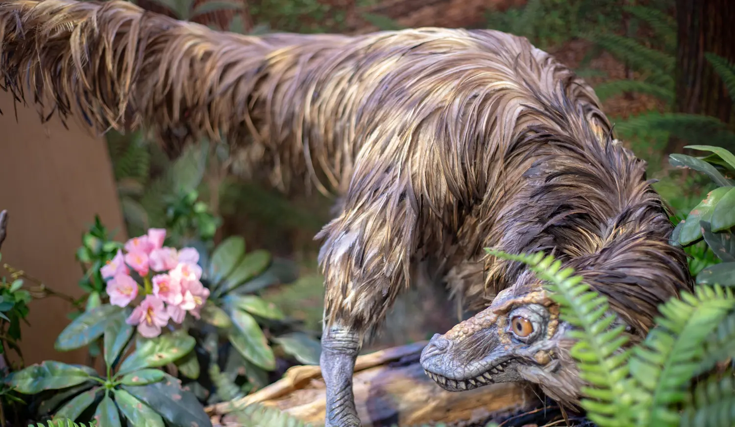 Feathered Velociraptor Dinosaur replica: ID 363323554 © Anpo9075 | Dreamstime.com