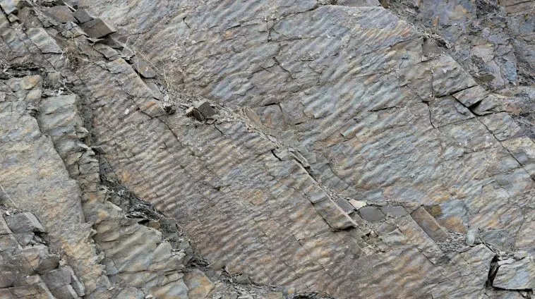Fossil ripples: ID 198066140 | Background © Madscica | Dreamstime.com