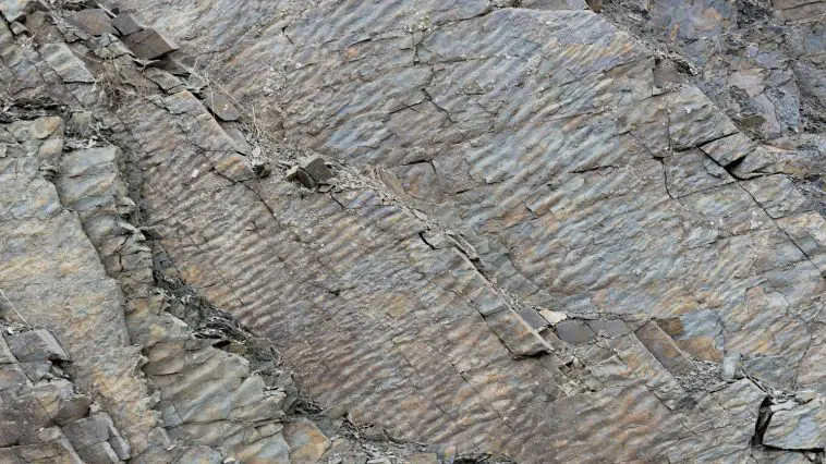 Fossil ripples: ID 198066140 | Background © Madscica | Dreamstime.com