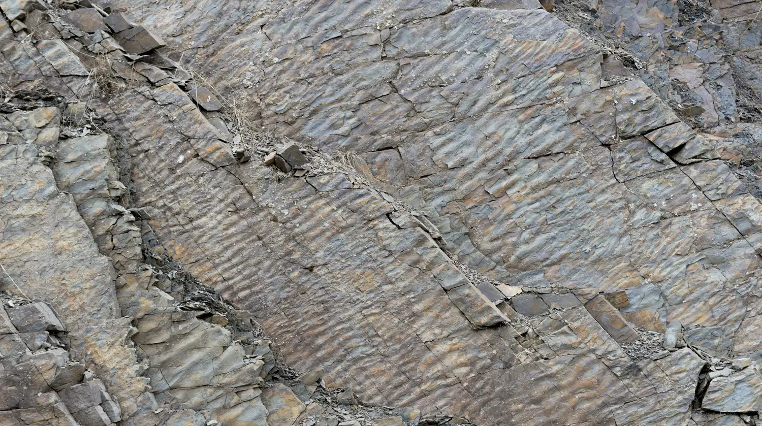 Fossil ripples: ID 198066140 | Background © Madscica | Dreamstime.com