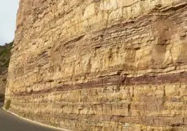 Graafwater formation sandstones, photo credit: Tas Walker