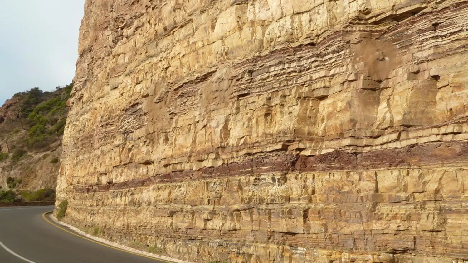 Graafwater formation sandstones, photo credit: Tas Walker