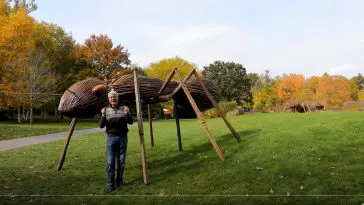 Surviving the Flood, video still