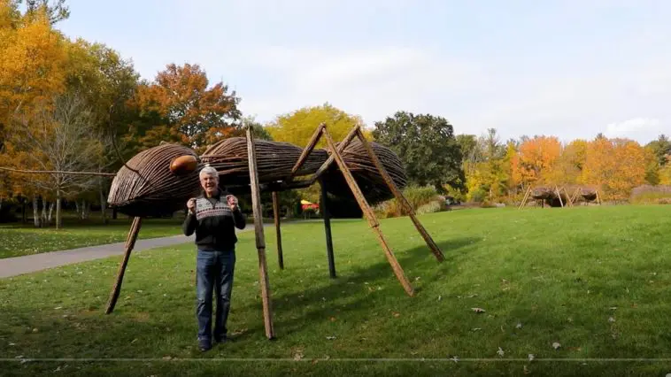 Surviving the Flood, video still