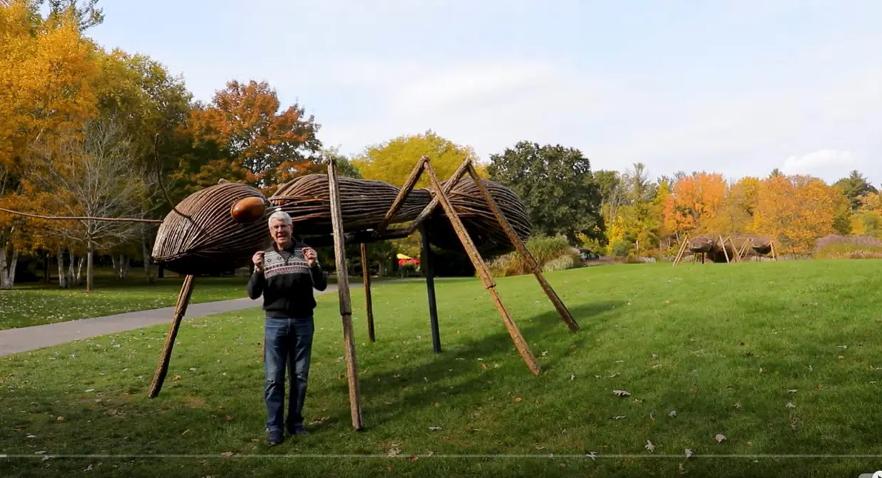 Surviving the Flood, video still