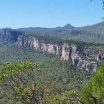 Carnarvon Gorge Photo ID 240752424 | © Leonie Preston | Dreamstime.com