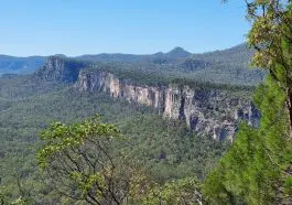 Carnarvon Gorge Photo ID 240752424 | © Leonie Preston | Dreamstime.com