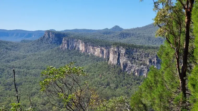 Carnarvon Gorge Photo ID 240752424 | © Leonie Preston | Dreamstime.com