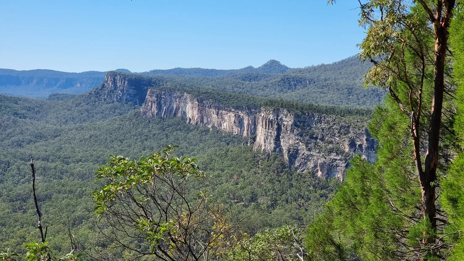 Carnarvon Gorge Photo ID 240752424 | © Leonie Preston | Dreamstime.com