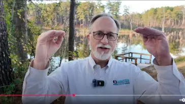 Mendel's Law of Exponential Trait Combination video still