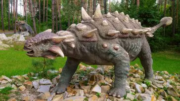 Ankylosaur model: ID 301701742 | Ankylosaur © Nskyr2 | Dreamstime.com
