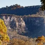 Carnarvon Gorge, Australia, rust-colored trees Photo ID: 196801316 © Steve Reynolds | Dreamstime.com