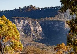 Carnarvon Gorge, Australia, rust-colored trees Photo ID: 196801316 © Steve Reynolds | Dreamstime.com