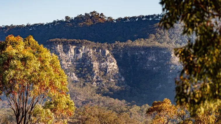 Carnarvon Gorge, Australia, rust-colored trees Photo ID: 196801316 © Steve Reynolds | Dreamstime.com