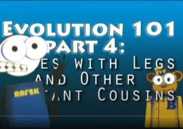 Evolution 101: Snakes with Legs video still