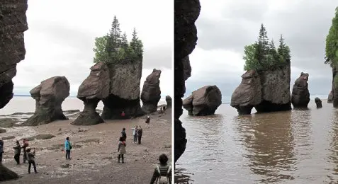 Hopewell Cape sea stacks in the Bay of Fundy, photo credit: Kathleen J. Wile