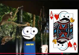 Gene Flow video still