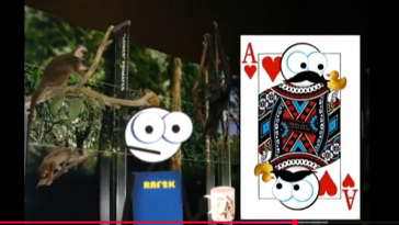 Gene Flow video still