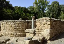 Synagogue ruins, Banias National Park, Israel: ID 45233036 | Israel Synagogue Archaeology © Leonid Spektor | Dreamstime.com