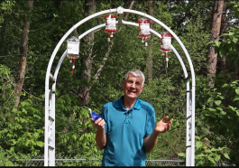 Horseshoe Crab blood video still