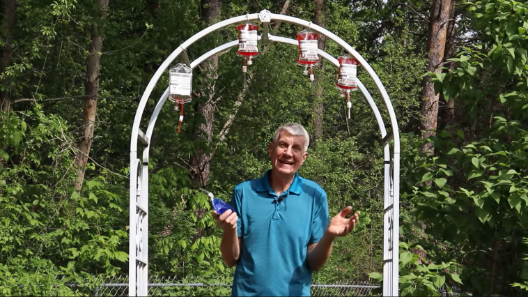 Horseshoe Crab blood video still