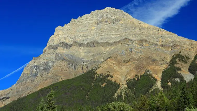 ID 155879743 © Jaahnlieb | Dreamstime.com