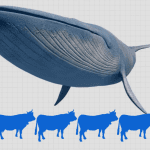 Blue Whales video still