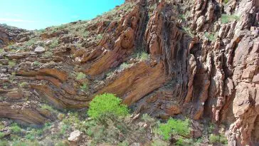 Folded-Rock-Layers-Grand-Canyon-Ministries