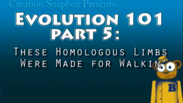 Evolution 101 Ep.6 These Homologous Limbs Were made for Walkin' video still