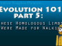 Evolution 101 Ep.6 These Homologous Limbs Were made for Walkin' video still