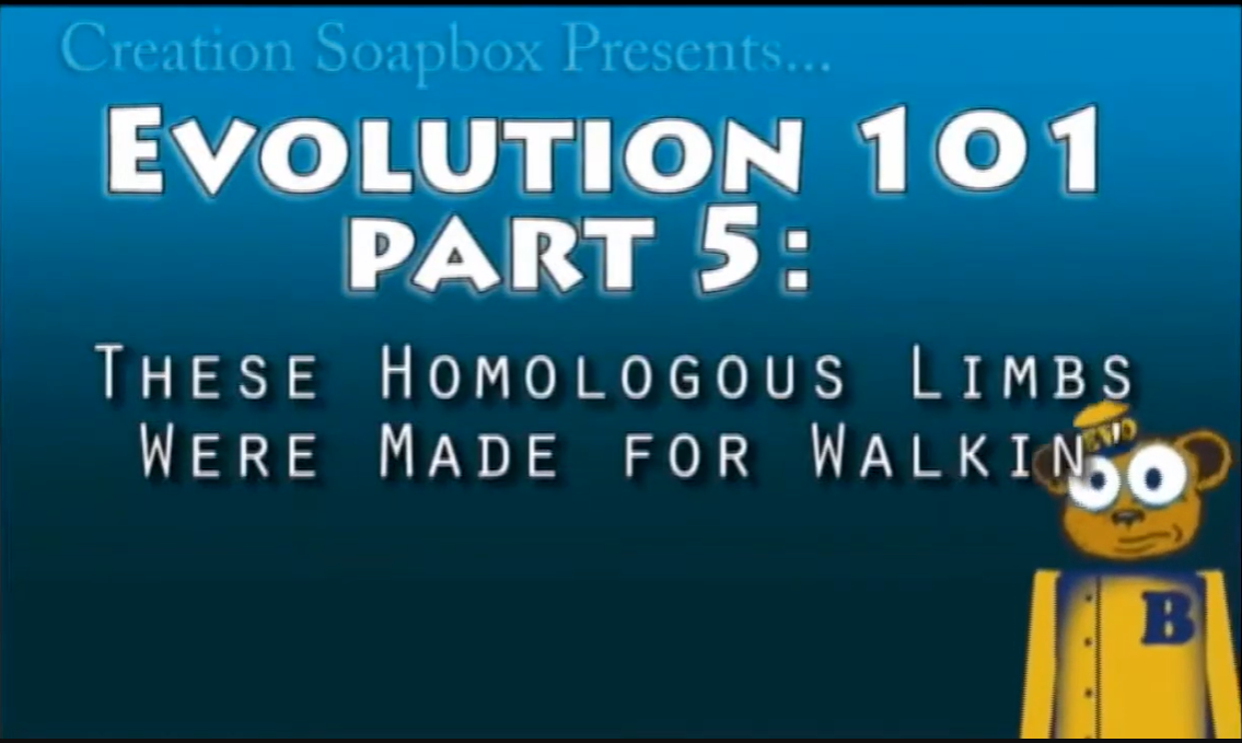 Evolution 101 Ep.6 These Homologous Limbs Were made for Walkin' video still