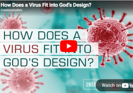 How Does a Virus Fit into God’s Design? video still