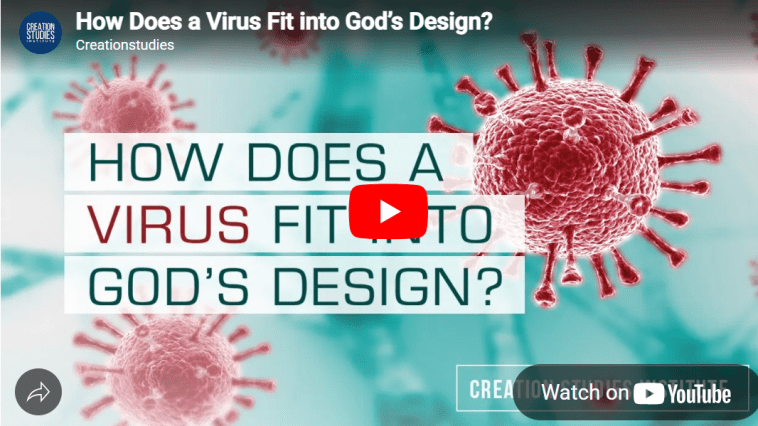 How Does a Virus Fit into God’s Design? video still