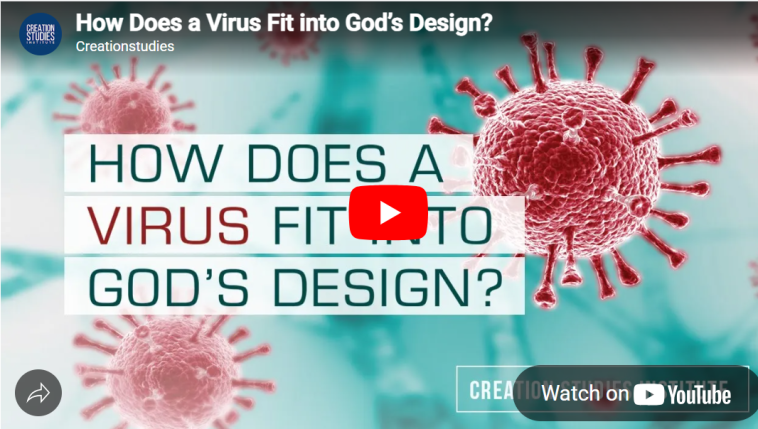 How Does a Virus Fit into God’s Design? video still