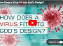 How Does a Virus Fit into God’s Design? video still